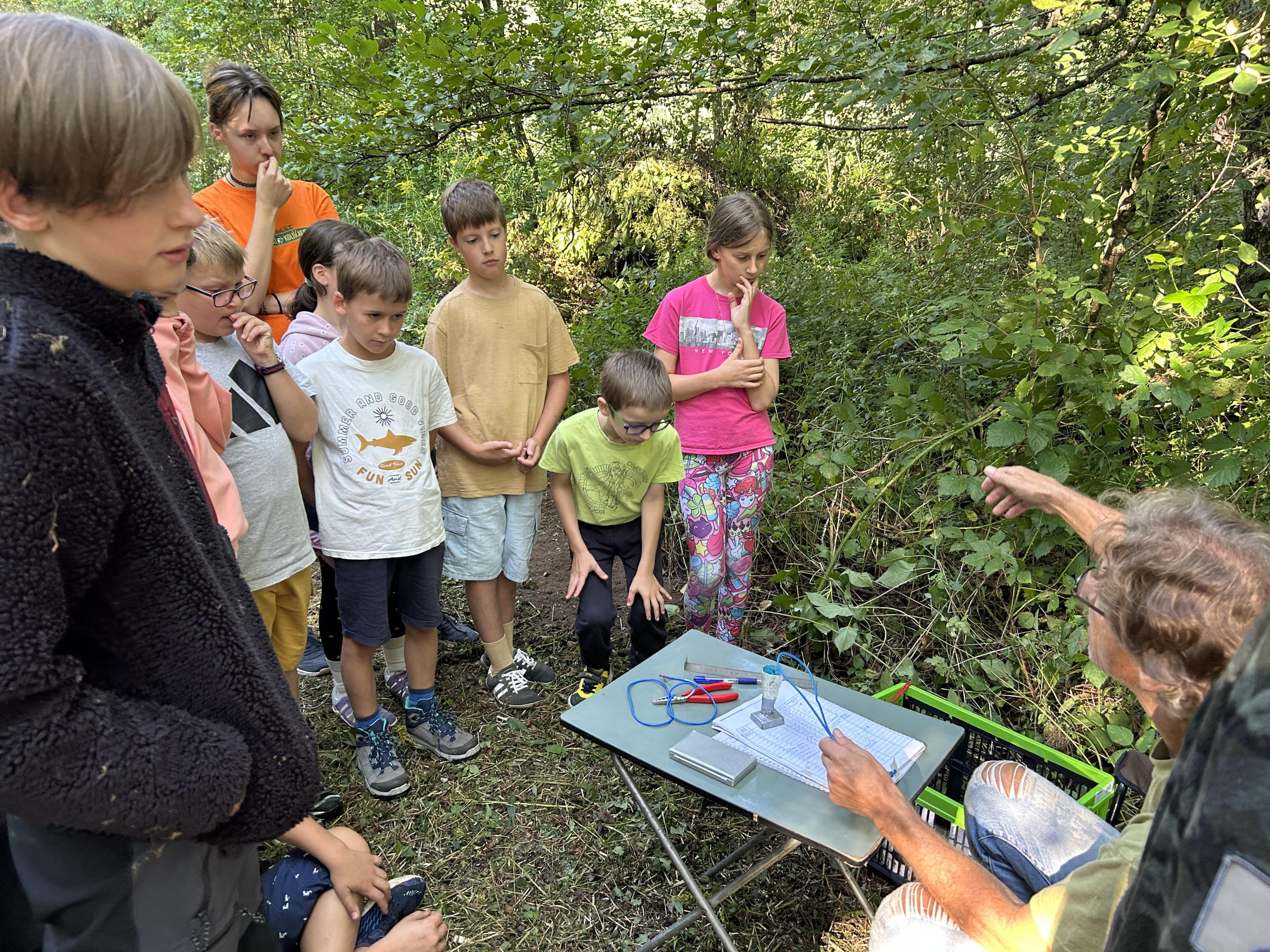 Kako se obročka ptiče